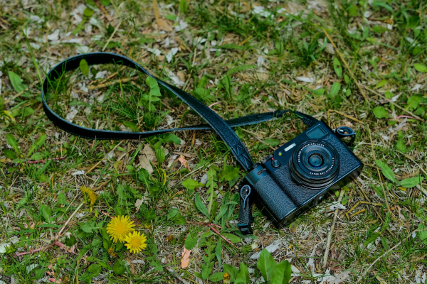 A black and blue cable on grass