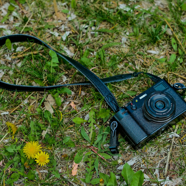 A black and blue cable on grass