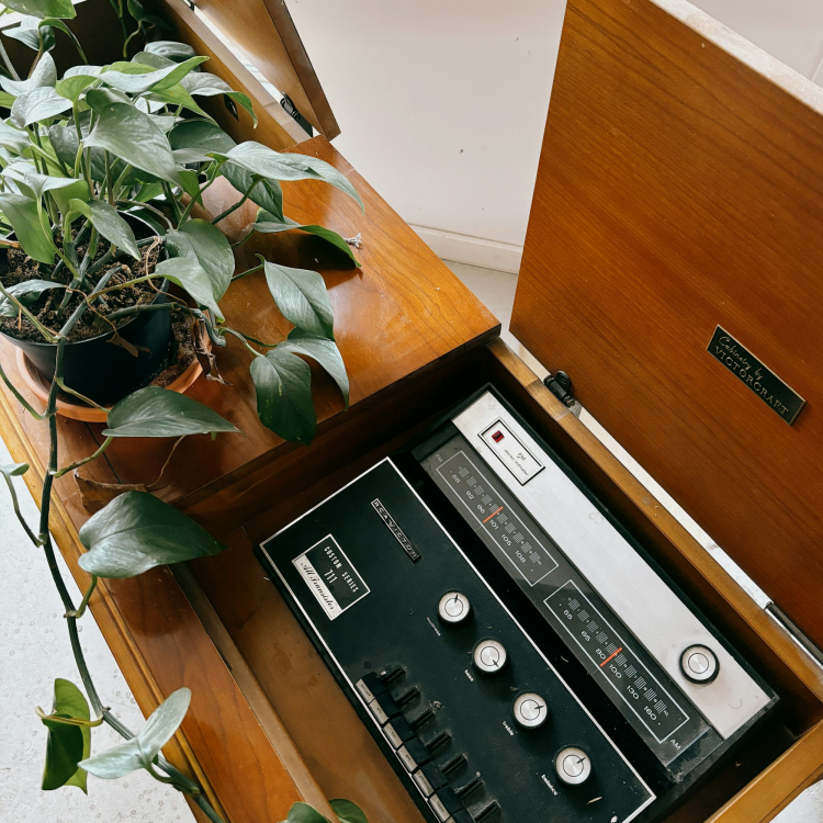 A table with a radio and a plant on top of it