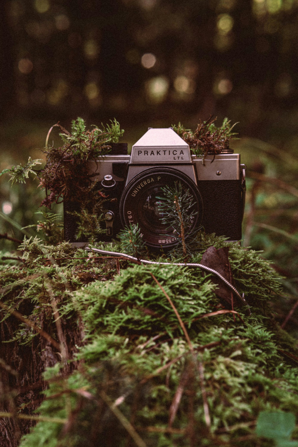 A toy tractor in a bush