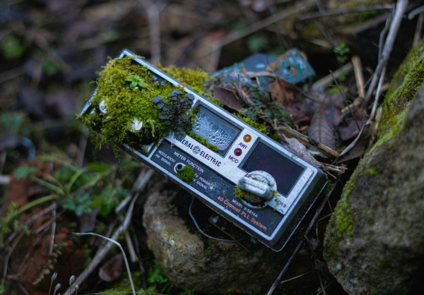 Black and gray digital camera on green moss