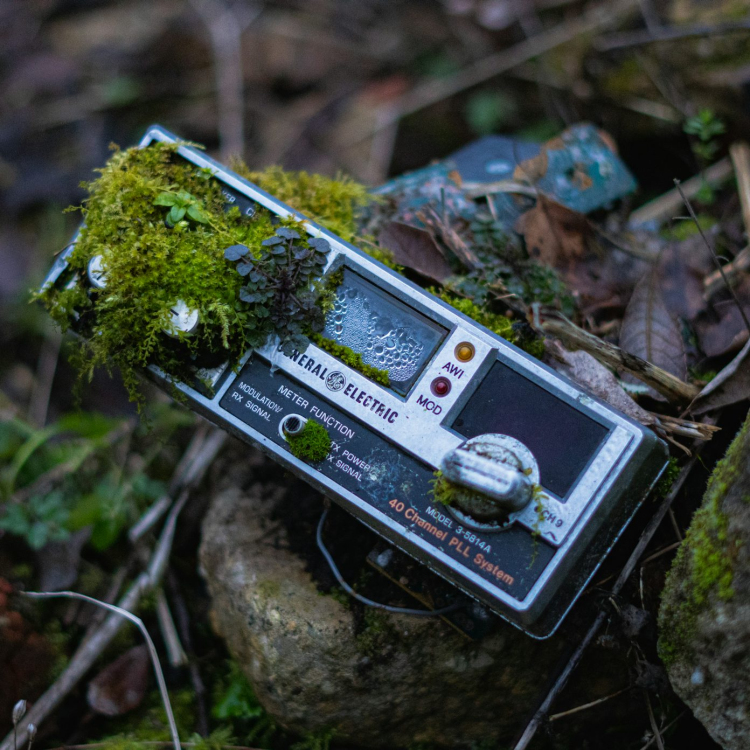 Black and gray digital camera on green moss