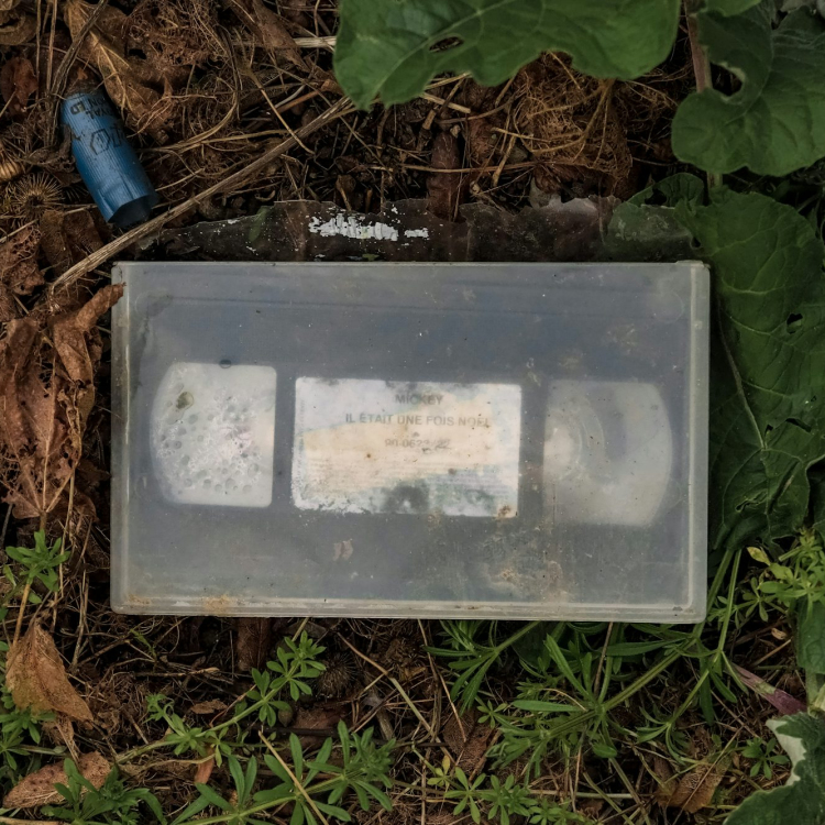 Clear glass container on brown dried leaves