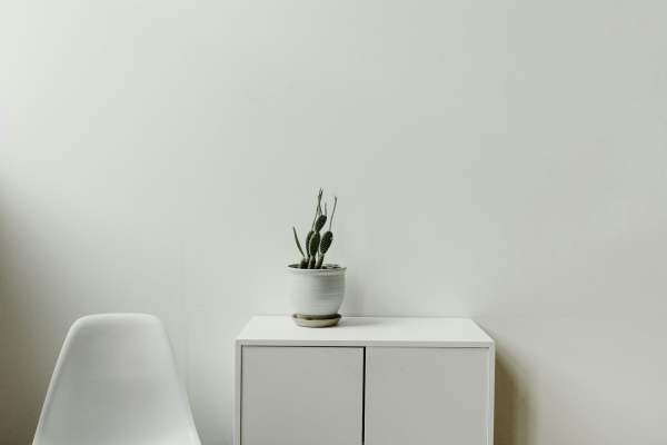 Green plant on white cabinet