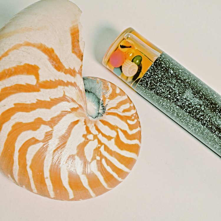 White and brown zebra print bic lighter